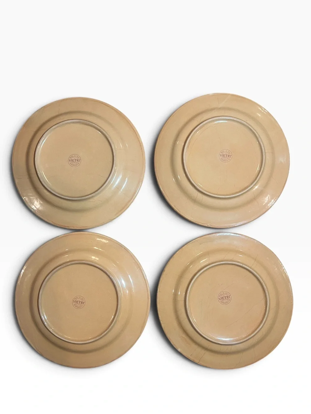 Vietri Tuscany Italian Terracotta 10.75” Dinner Plates Set of 4